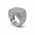The Monolith Iced Ring