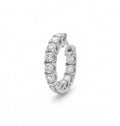 Royal Hoop earrings